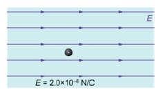 Phy101 Assignment no 3 Fall 2012